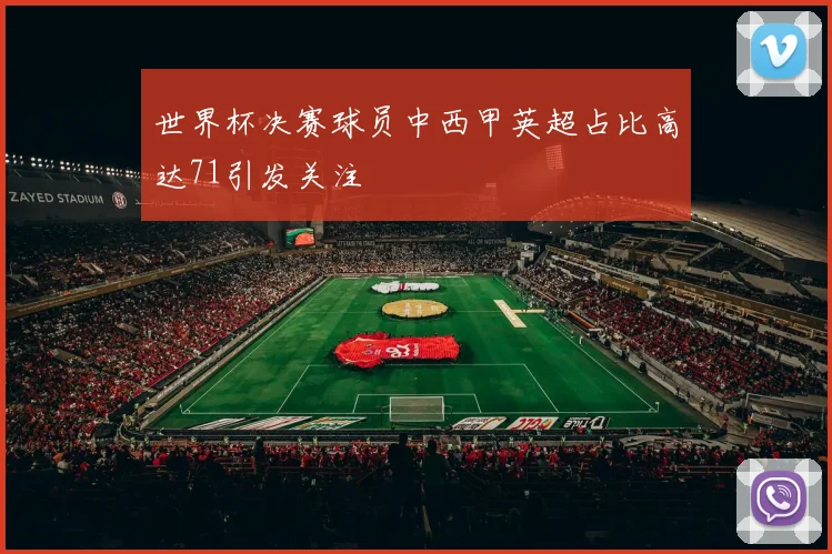 世界杯决赛球员中西甲英超占比高达71引发关注